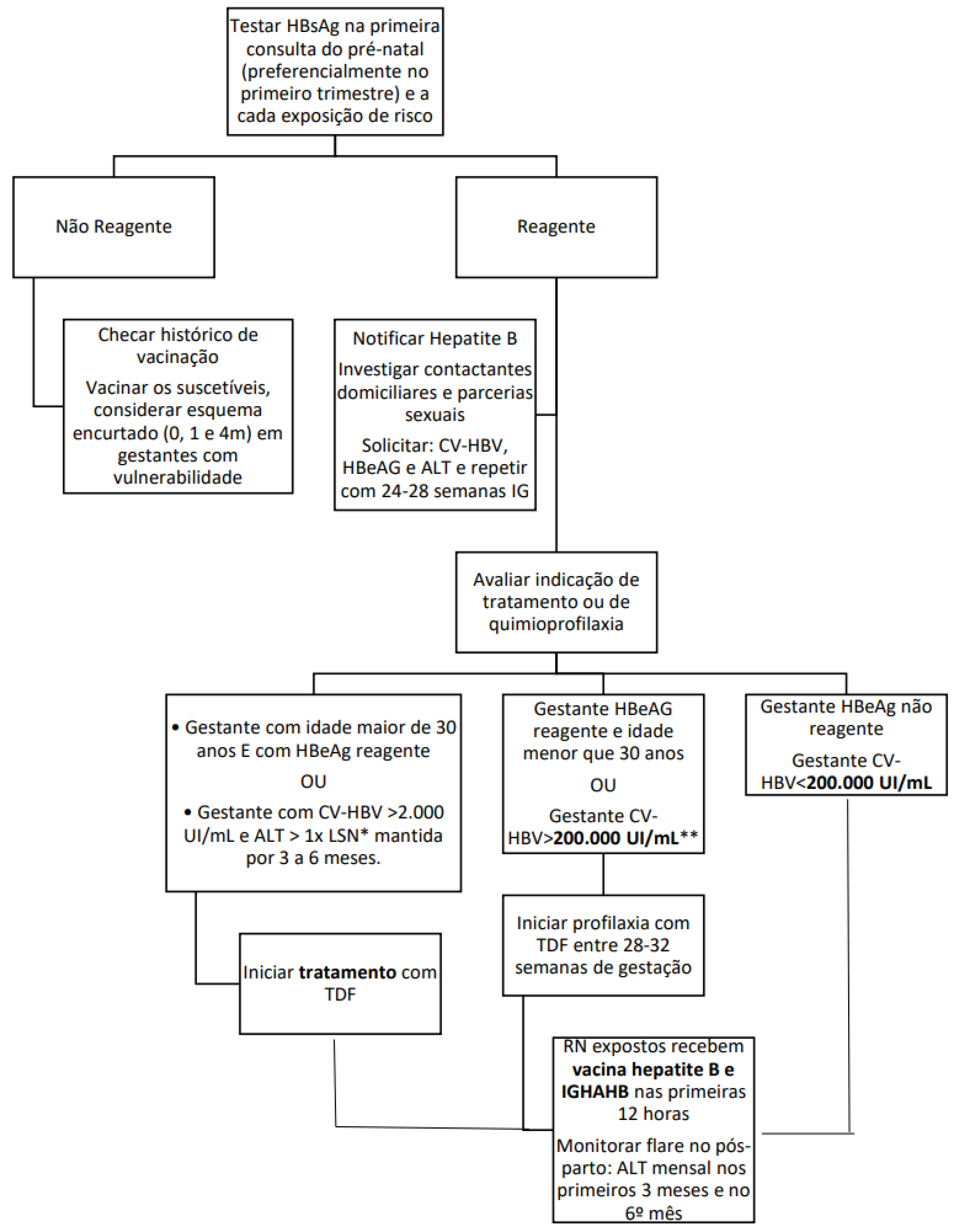 Fluxograma de prevenção de transmissão vertical de hepatite B