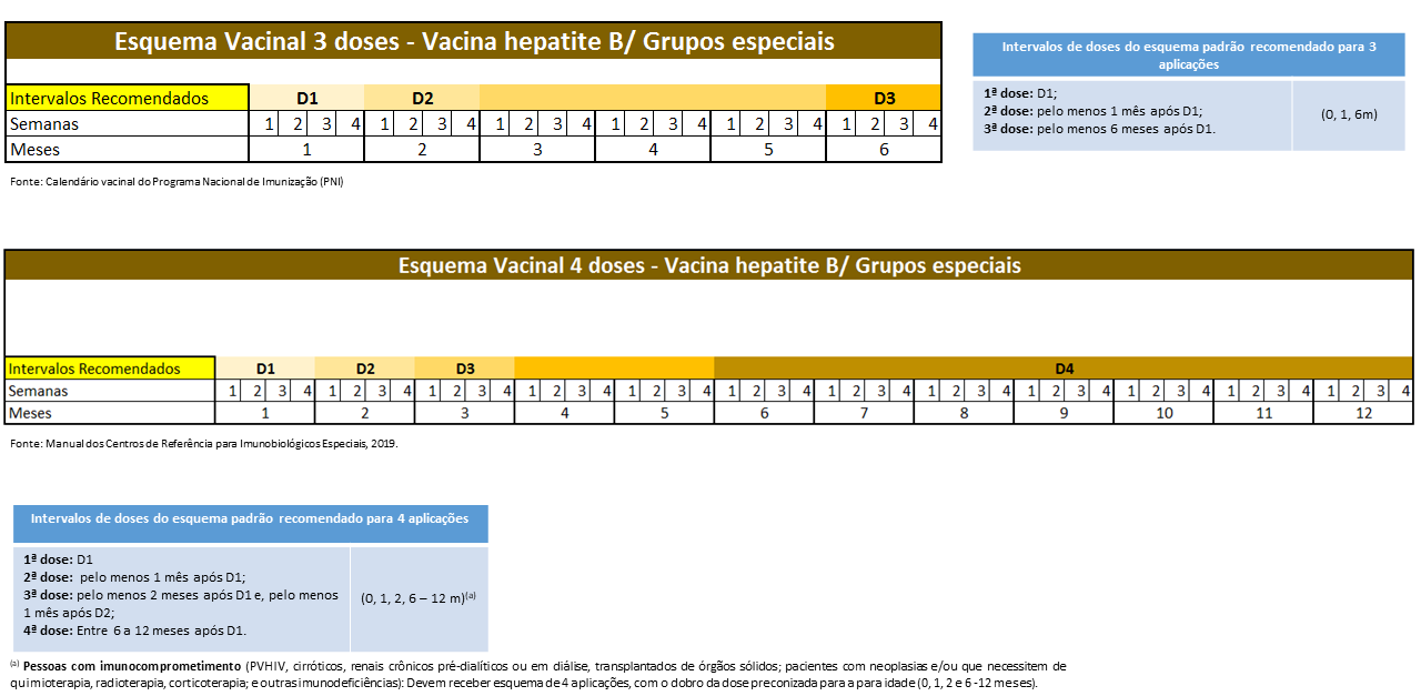 Intervalos mínimos* entre as doses para esquemas vacinais de 3 doses e 4 doses