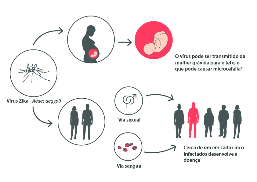 Doença aguda pelo vírus Zika na gestante